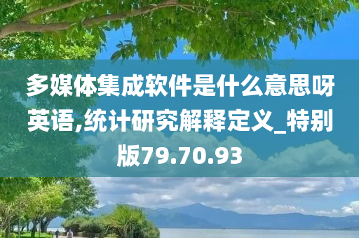 多媒体集成软件是什么意思呀英语,统计研究解释定义_特别版79.70.93