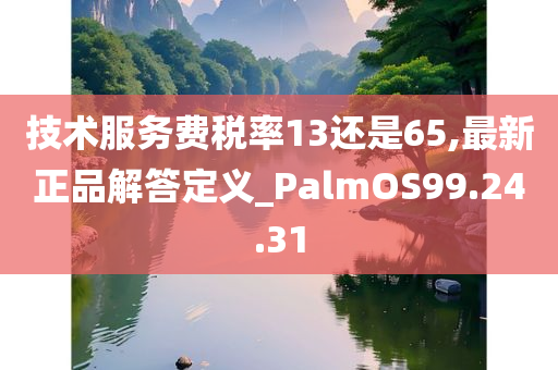 技术服务费税率13还是65,最新正品解答定义_PalmOS99.24.31