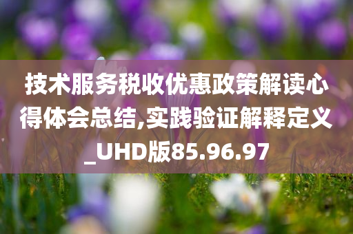 技术服务税收优惠政策解读心得体会总结,实践验证解释定义_UHD版85.96.97