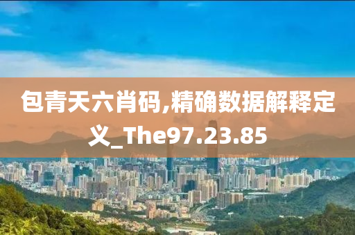 包青天六肖码,精确数据解释定义_The97.23.85