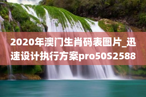 2020年澳门生肖码表图片_迅速设计执行方案pro50S2588