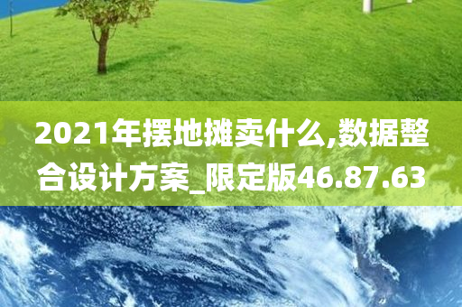 2021年摆地摊卖什么,数据整合设计方案_限定版46.87.63