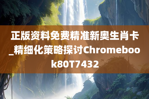 正版资料免费精准新奥生肖卡_精细化策略探讨Chromebook80T7432