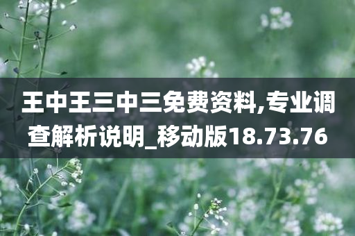 王中王三中三免费资料,专业调查解析说明_移动版18.73.76