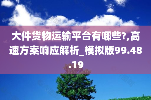 大件货物运输平台有哪些?,高速方案响应解析_模拟版99.48.19