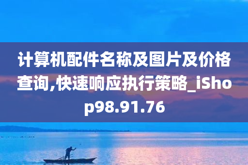 计算机配件名称及图片及价格查询,快速响应执行策略_iShop98.91.76