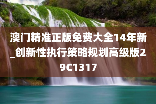 澳门精准正版免费大全14年新_创新性执行策略规划高级版29C1317