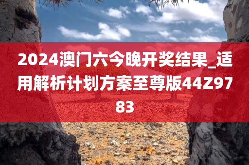 2024澳门六今晚开奖结果_适用解析计划方案至尊版44Z9783