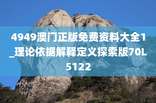 4949澳门正版免费资料大全1_理论依据解释定义探索版70L5122