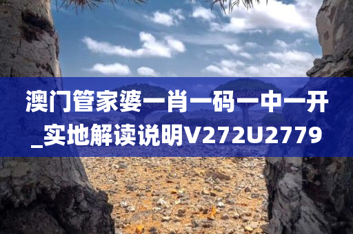 澳门管家婆一肖一码一中一开_实地解读说明V272U2779