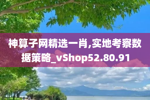 神算子网精选一肖,实地考察数据策略_vShop52.80.91