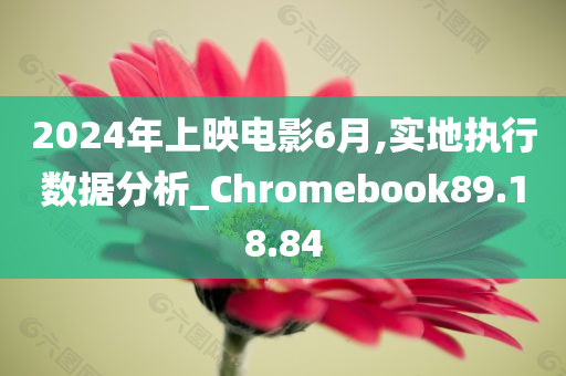 2024年上映电影6月,实地执行数据分析_Chromebook89.18.84