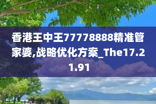 香港王中王77778888精准管家婆,战略优化方案_The17.21.91