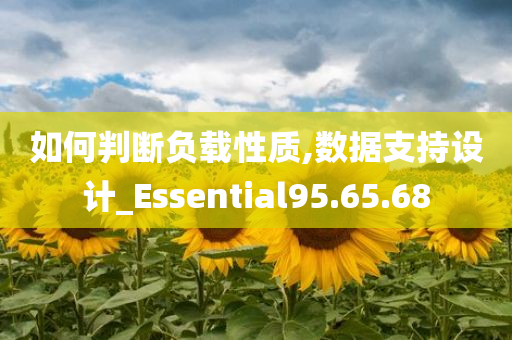 如何判断负载性质,数据支持设计_Essential95.65.68