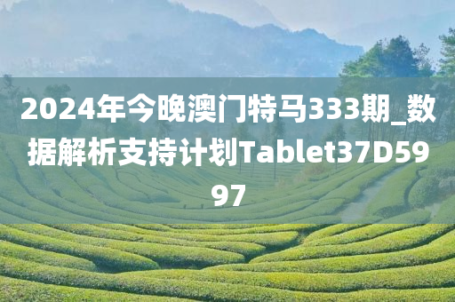 2024年今晚澳门特马333期_数据解析支持计划Tablet37D5997