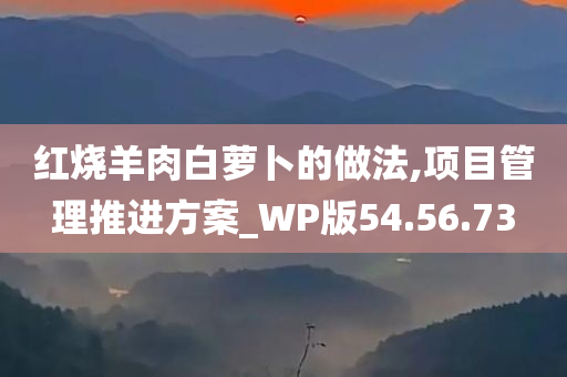 红烧羊肉白萝卜的做法,项目管理推进方案_WP版54.56.73