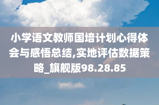 小学语文教师国培计划心得体会与感悟总结,实地评估数据策略_旗舰版98.28.85