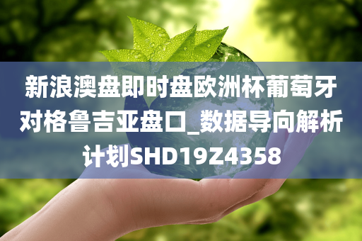 新浪澳盘即时盘欧洲杯葡萄牙对格鲁吉亚盘口_数据导向解析计划SHD19Z4358