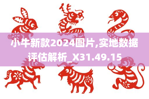 小牛新款2024图片,实地数据评估解析_X31.49.15