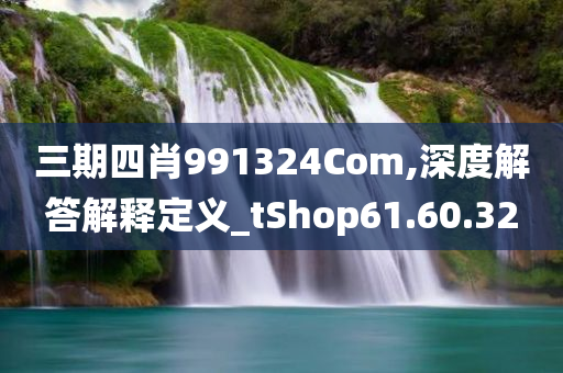 三期四肖991324Com,深度解答解释定义_tShop61.60.32