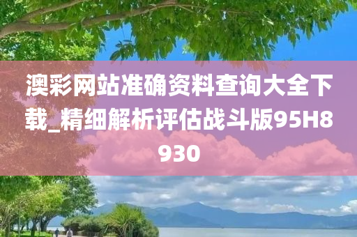 澳彩网站准确资料查询大全下载_精细解析评估战斗版95H8930