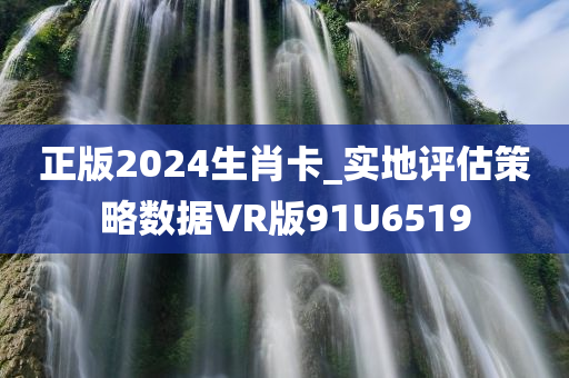 正版2024生肖卡_实地评估策略数据VR版91U6519