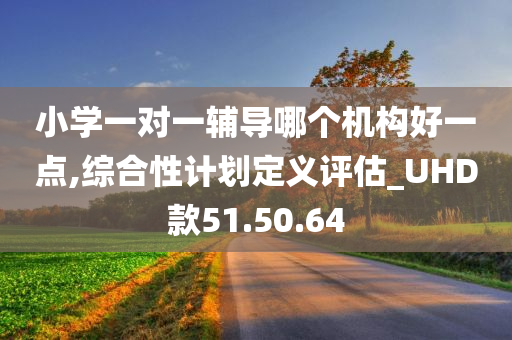 小学一对一辅导哪个机构好一点,综合性计划定义评估_UHD款51.50.64