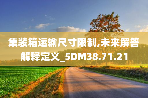 集装箱运输尺寸限制,未来解答解释定义_5DM38.71.21