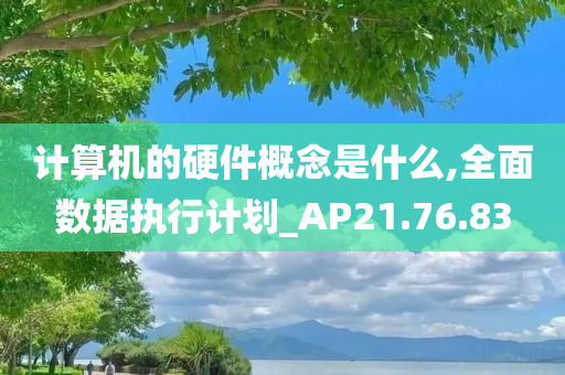 计算机的硬件概念是什么,全面数据执行计划_AP21.76.83