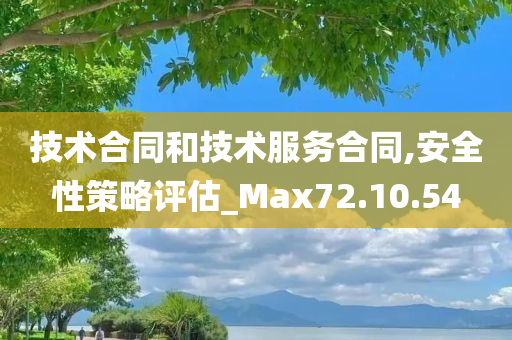 技术合同和技术服务合同,安全性策略评估_Max72.10.54