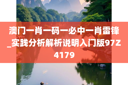 澳门一肖一码一必中一肖雷锋_实践分析解析说明入门版97Z4179