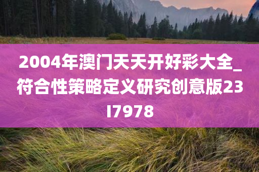 2004年澳门天天开好彩大全_符合性策略定义研究创意版23I7978