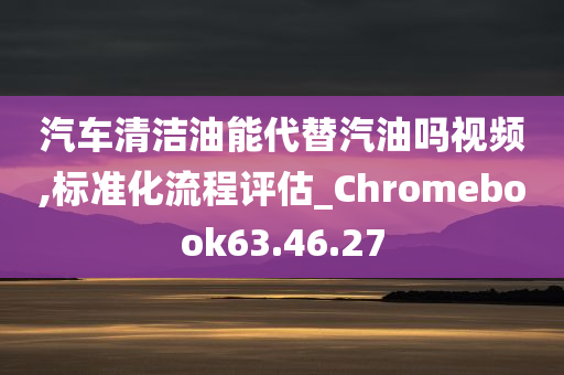 汽车清洁油能代替汽油吗视频,标准化流程评估_Chromebook63.46.27