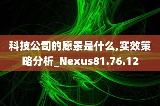 科技公司的愿景是什么,实效策略分析_Nexus81.76.12