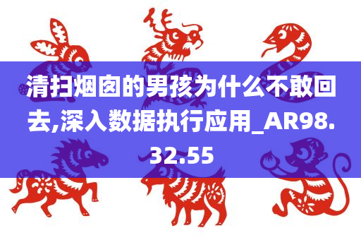 清扫烟囱的男孩为什么不敢回去,深入数据执行应用_AR98.32.55