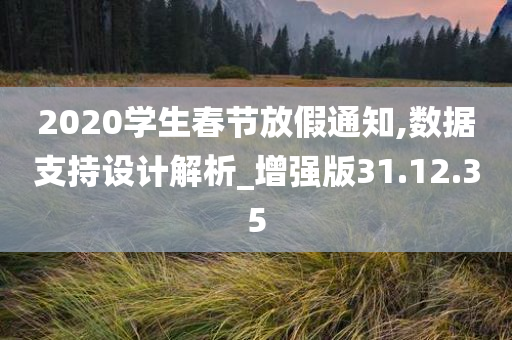 2020学生春节放假通知,数据支持设计解析_增强版31.12.35