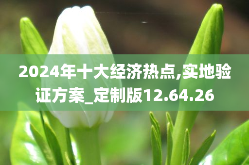 2024年十大经济热点,实地验证方案_定制版12.64.26