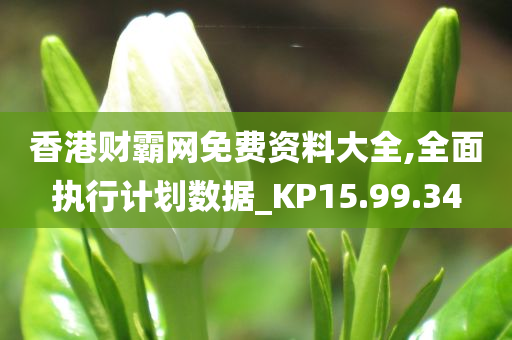 香港财霸网免费资料大全,全面执行计划数据_KP15.99.34