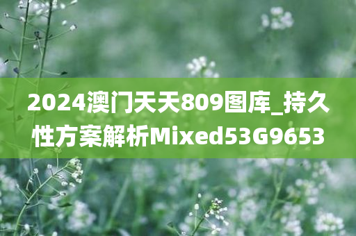 2024澳门天天809图库_持久性方案解析Mixed53G9653