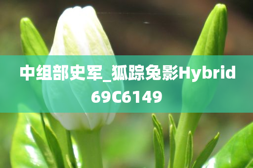 中组部史军_狐踪兔影Hybrid69C6149