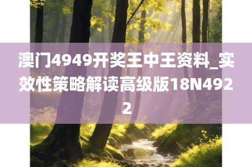 澳门4949开奖王中王资料_实效性策略解读高级版18N4922