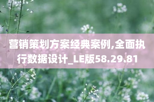 营销策划方案经典案例,全面执行数据设计_LE版58.29.81