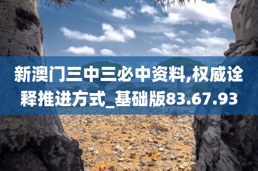 新澳门三中三必中资料,权威诠释推进方式_基础版83.67.93