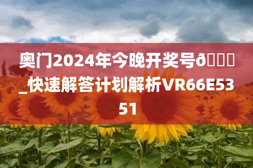 奥门2024年今晚开奖号🐎_快速解答计划解析VR66E5351