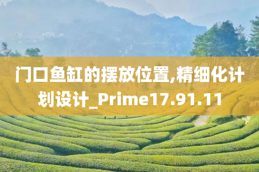 门口鱼缸的摆放位置,精细化计划设计_Prime17.91.11