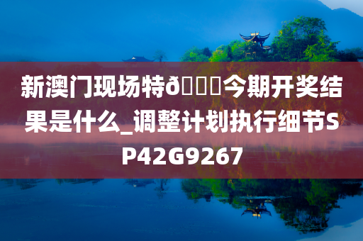 新澳门现场特🐎今期开奖结果是什么_调整计划执行细节SP42G9267