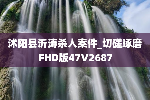 沭阳县沂涛杀人案件_切磋琢磨FHD版47V2687