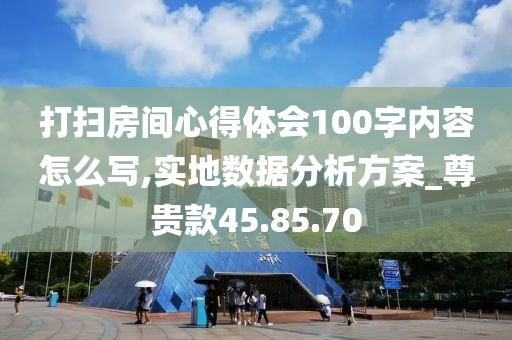 打扫房间心得体会100字内容怎么写,实地数据分析方案_尊贵款45.85.70