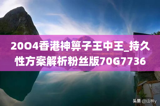 20O4香港神箅子王中王_持久性方案解析粉丝版70G7736