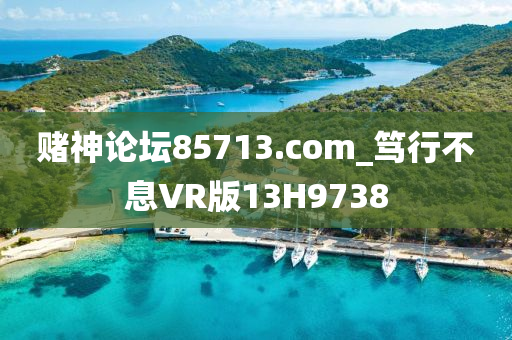 赌神论坛85713.com_笃行不息VR版13H9738